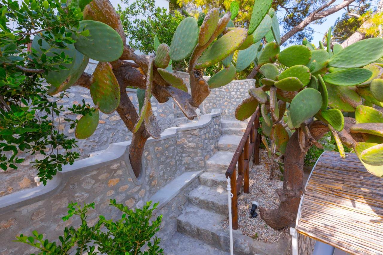 Faraglionensis Monaconehouse Villa Capri Exteriör bild